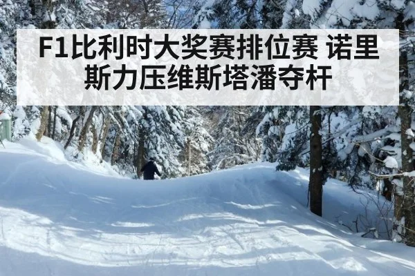 F1比利时大奖赛排位赛 诺里斯力压维斯塔潘夺杆