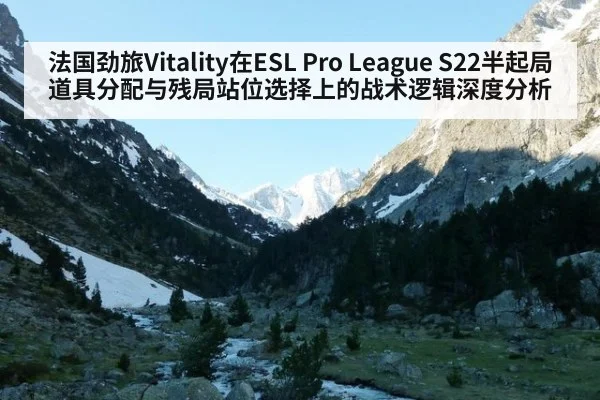 法国劲旅Vitality在ESL Pro League S22半起局道具分配与残局站位选择上的战术逻辑深度分析